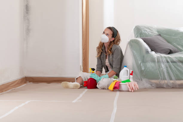 Reliable Hvac And Air Duct Mold Remediation contractor in Hudsonville, MI by 24 Hour Mold Removal